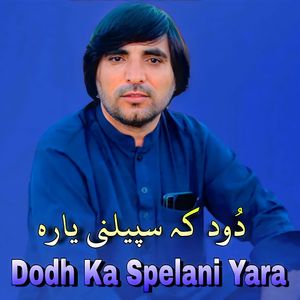 Dodh Ka Spelani Yara
