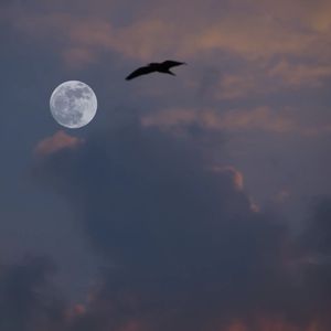 困在爱里是笨蛋