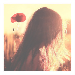 きっと、もう会えないね