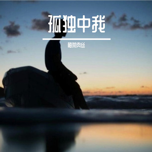 孤独中我