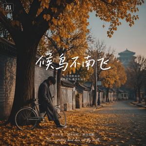 候鸟不南飞 伴奏