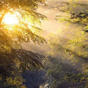 2_伴奏 未来的她_2_