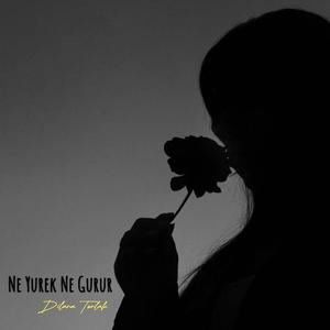 Ne Yürek Ne Gurur