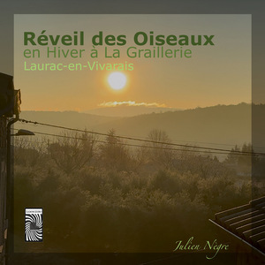 Super solos oiseaux, grive musicienne mésanges (...) [ruisseau en fond]