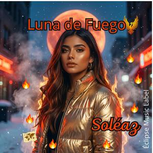 “360° Montréal”