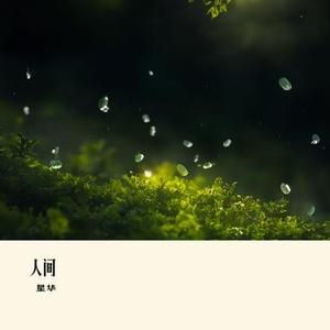 我走过一万年才和你遇见 (Remix)