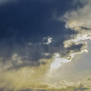 饭圈狗&好前辈diss