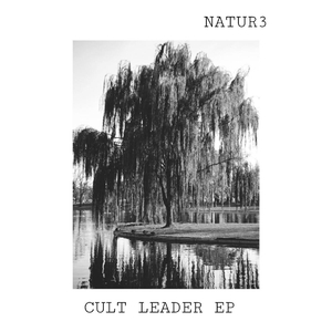 Krillin's Theme Song