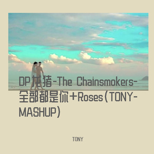 DP龙猪-The Chainsmokers-全部都是你+Roses(TONY-MASHUP)