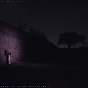 Synaptic Island: A Soundwalk