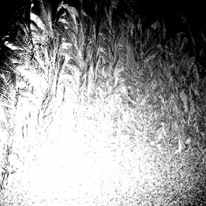 White noise - 5.5 kHz Filter