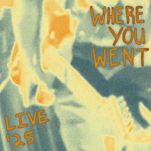 Where You Went (Live '25)