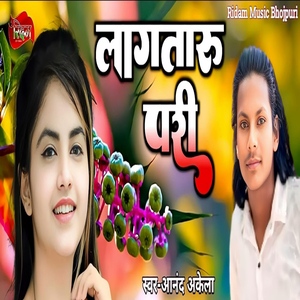 Lagtaru Pari