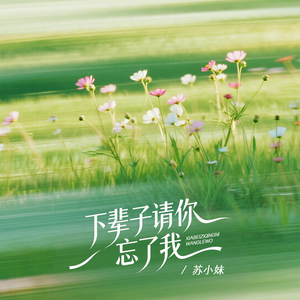 下辈子请你忘了我