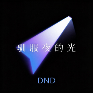 驯服夜的光