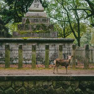 NIGGIA BETTER STFU & WATCH OUT