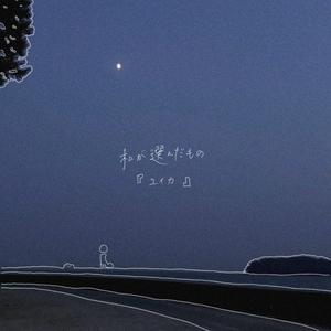 私が選んだもの