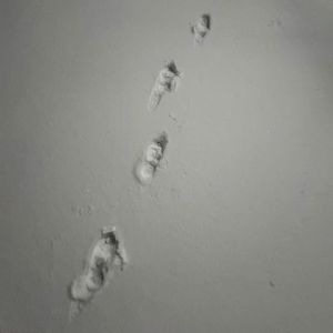 冬天prod.ZN Kill This Vibe