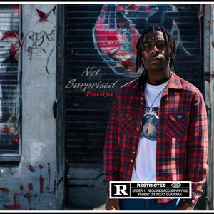 Not Surprised Freestyle