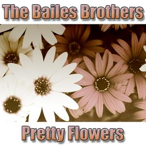 Broken Marriage Vows (1st Version)