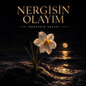 Nergisin Olayım