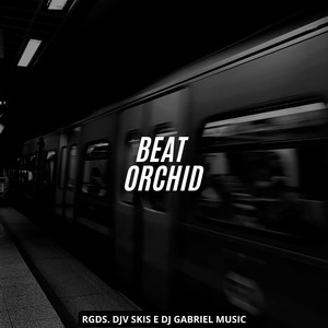 Beat Orchid