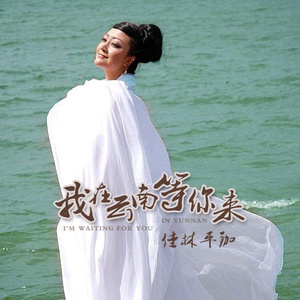 我在云南等你来