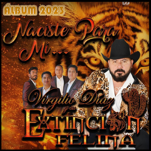 Chilena La Cascadita