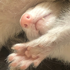 N次方（prod by XVIBE)