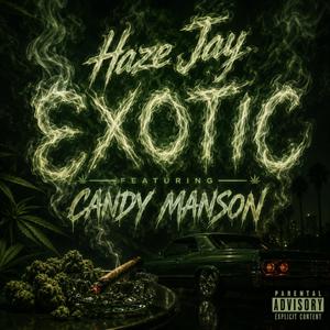 EXOTIC