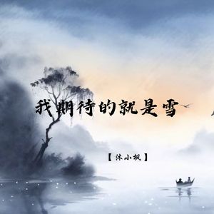 我期待的不是雪 (1.1X释怀版)