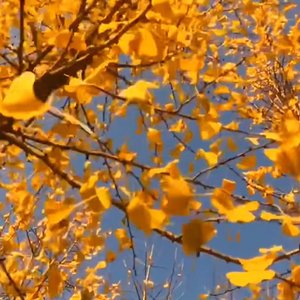 为你留着最柔软的角落