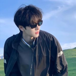 草原上的骏马奔腾