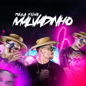 MEGA FUNK (MALVADINHO)