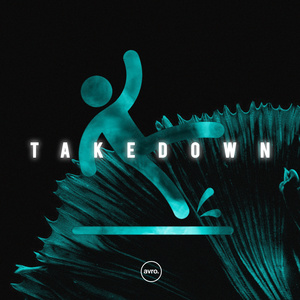 TAKEDOWN