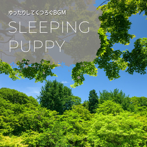 Rejuvenation through Quiet