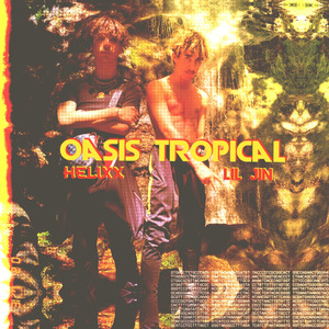 Oasis Tropical