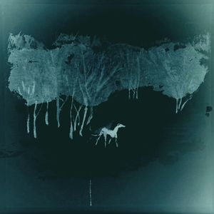 on my cheeks \ 在我的脸颊上