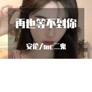 再也等不到你 (DJ加快版)