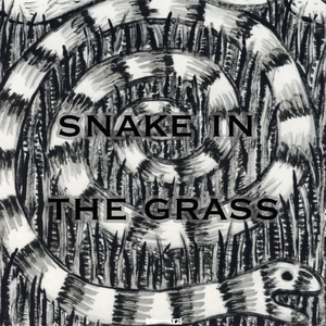 Free 采样 x Jerk Drill type beat“snake in the grass”
