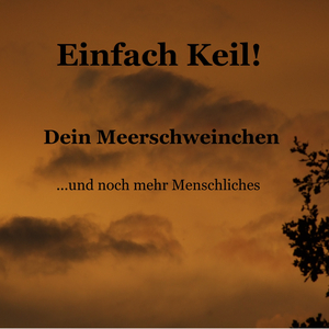 Katzen mögen Mäuse (kein Kinderlied)