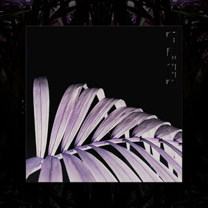 ECOZONES w/ ANUBIS-XIII