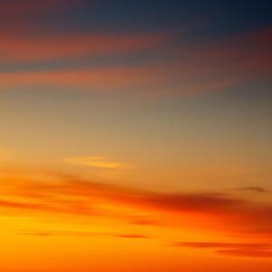 Something in the Orange