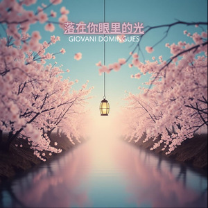 落在你眼里的光