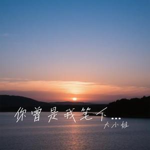 你曾是我笔下的诗 (Cover 赵乃吉)