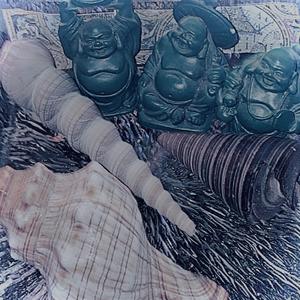 lush (we want the world)