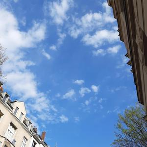 Der Frühling fängt an