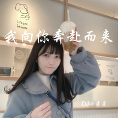 夜店商业电音舞曲 (DJ版)