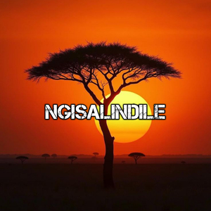 Ngisalindile