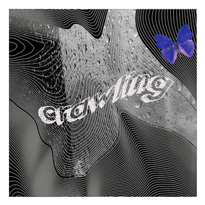 Crawling (cover)